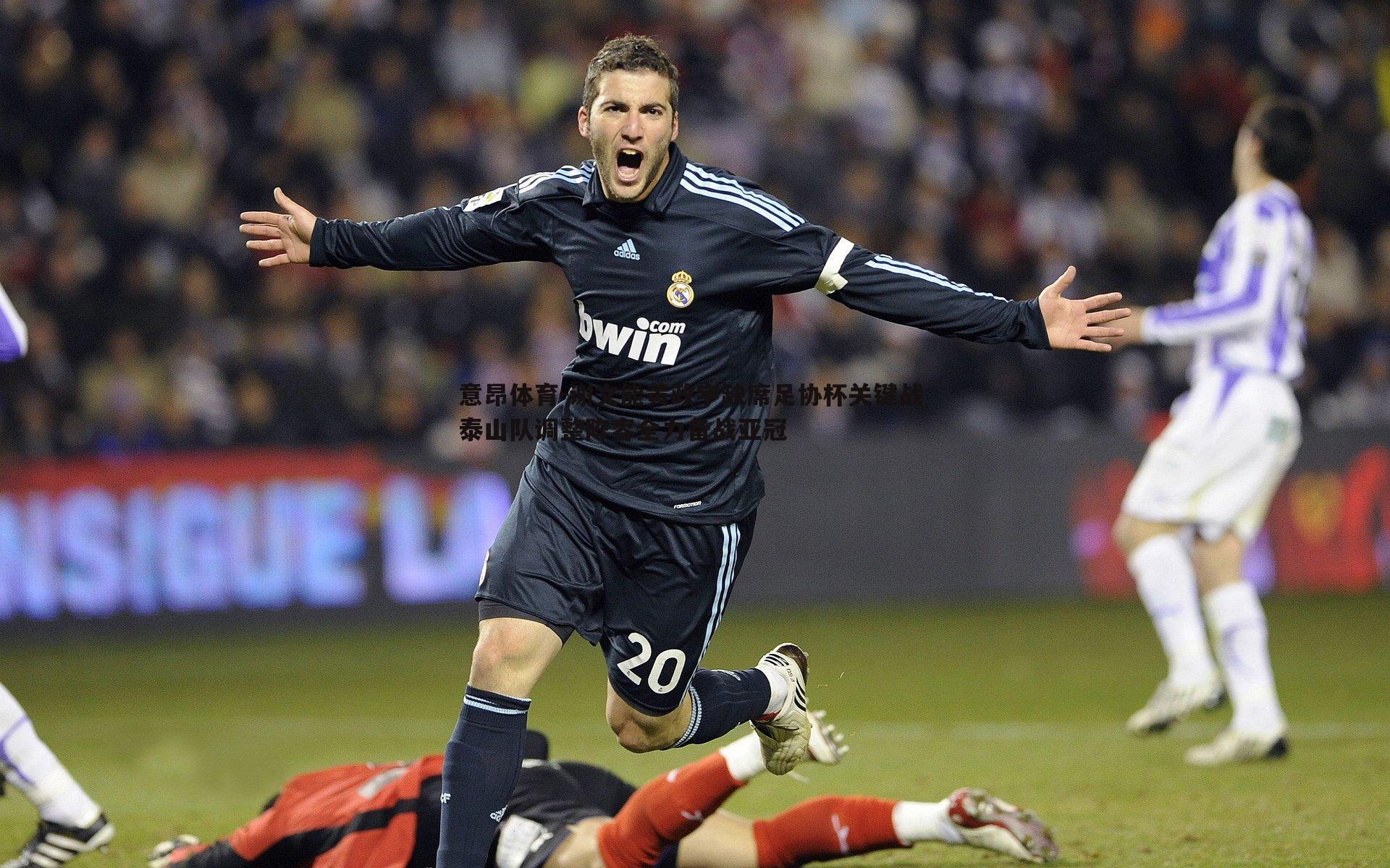 谢文能黄政宇缺席足协杯关键战 泰山队调整阵容全力备战亚冠